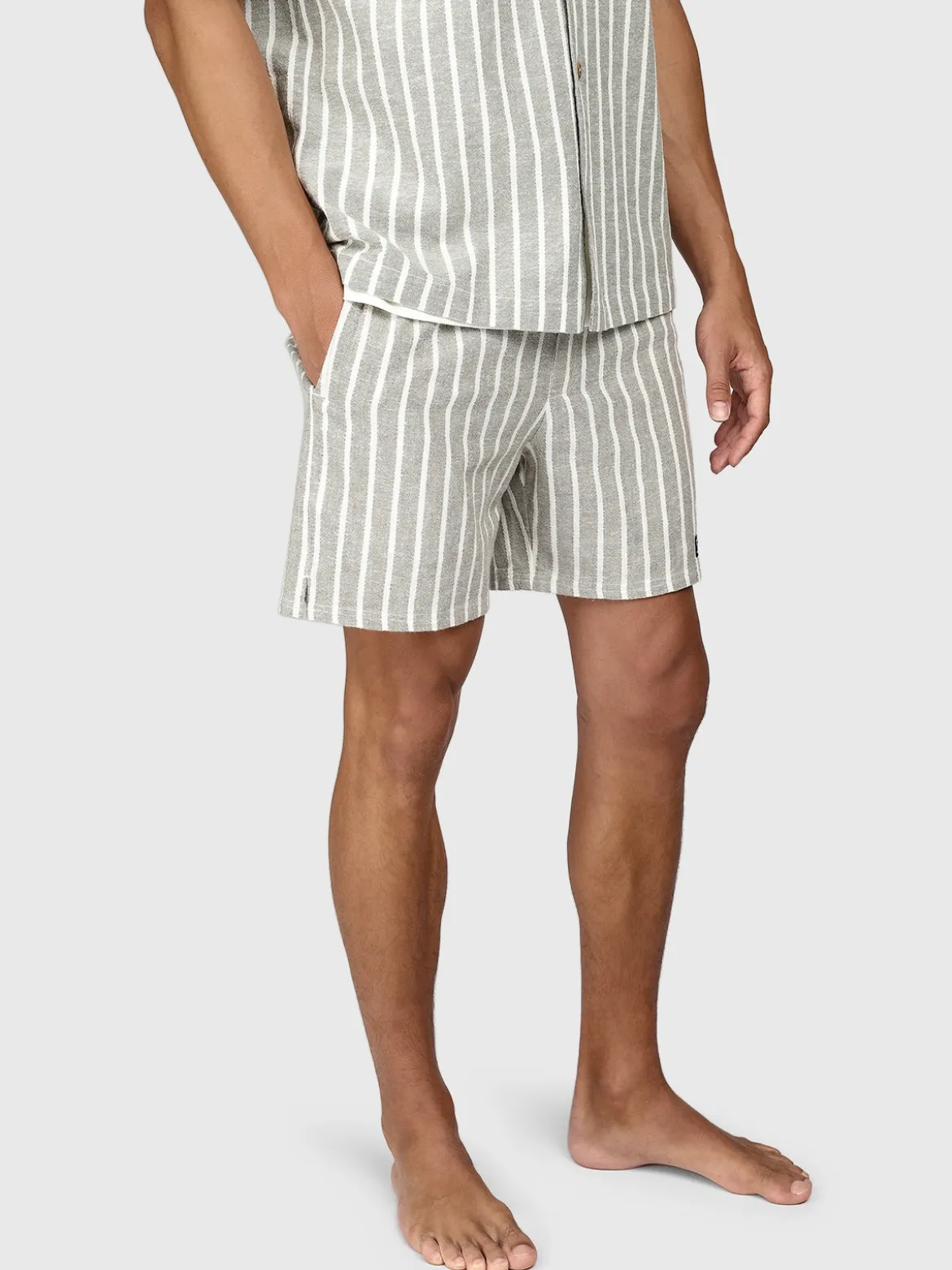 Aiden-Stripe Heren Walk Shorts | Snow