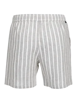 Aiden-Stripe Heren Walk Shorts | Snow
