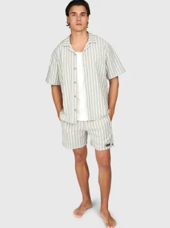 Aiden-Stripe Heren Walk Shorts | Snow