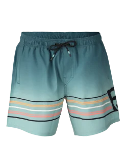 Bru-conic-Stripe Men Swim Shorts | Bottle Green