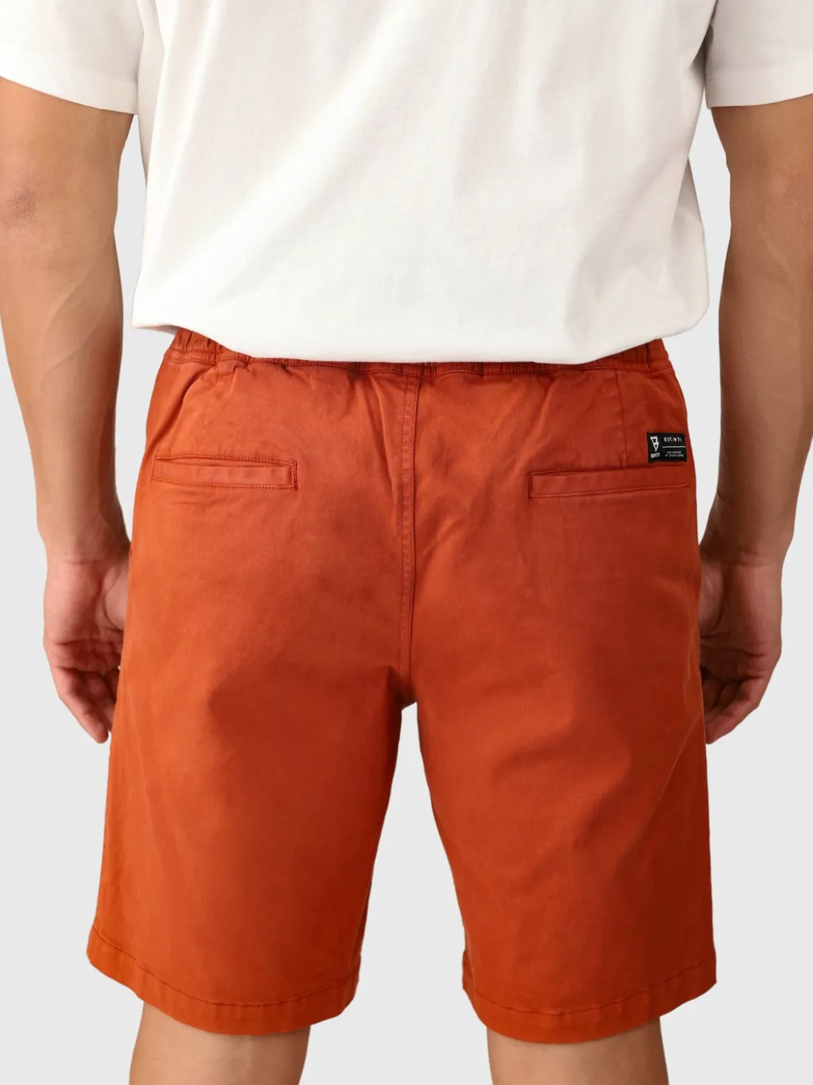 Carlos Men Walkshorts | Arabian Spice