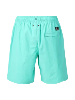 Cestery Boys Swim Shorts | Caribean Green