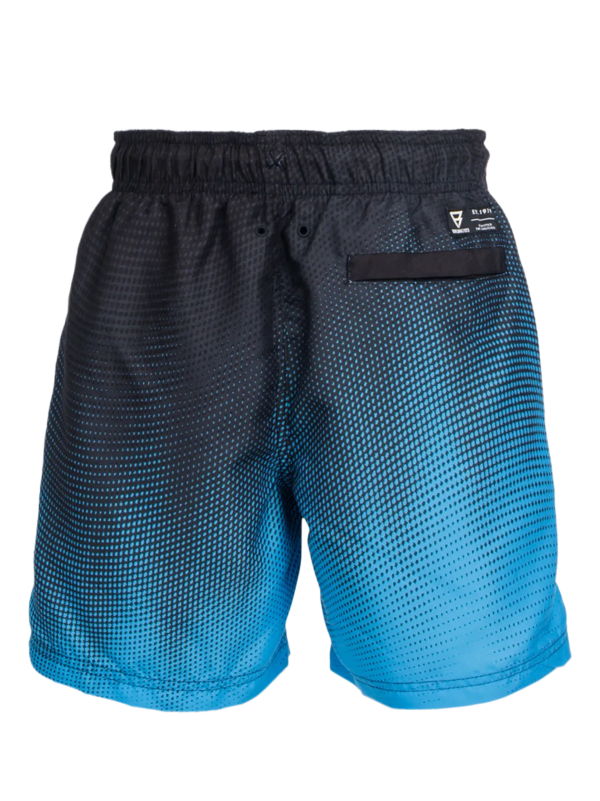 Cestery-Panel Print Jongens Zwemshort | Kingfisher Blue