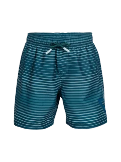 Cestery-Stripe Jongens Zwemshort | Mist