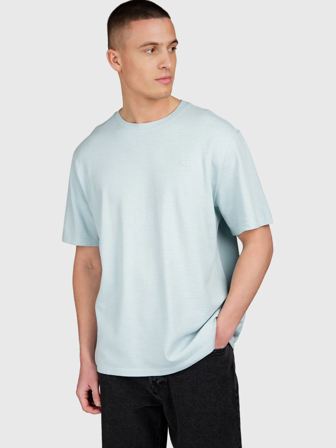 Dozan Heren T-shirt | Mist