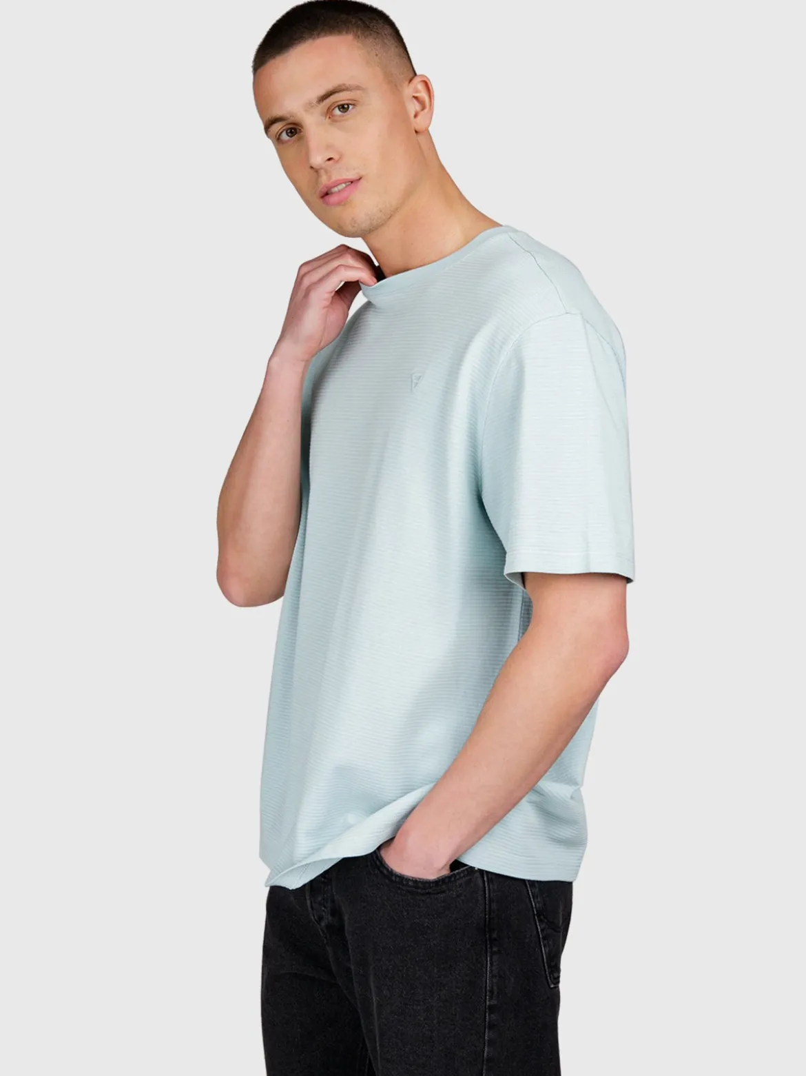 Dozan Heren T-shirt | Mist