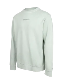 Esseries Heren Sweater | Grayblue