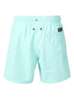 Hestey Boys Swim Shorts | Aruba Blue