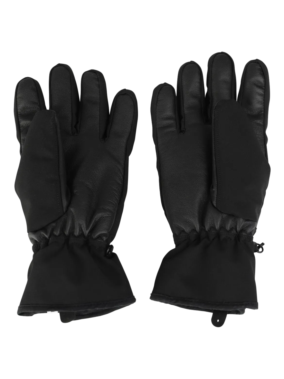 Radiance Heren Ski Handschoenen | Zwart