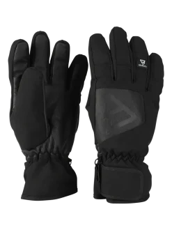 Radiance Heren Ski Handschoenen | Zwart